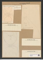 Chaetoceros diversus Cleve (de-Toni-Nr.: Genus 149, Species 4110) Zeichnungen Sammlung Grunow Nr. 7653 (NHMW-BOT-W0376838)